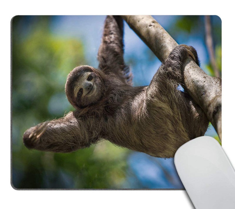 Smooffly Happy Sloth Customized Rectangle Non-Slip Rubber Mousepad Gaming Mouse Pad 9.5 X 7.9 Inch (240mmX200mmX3mm) - Image 1